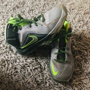 Lebron James Nike XII 12 dunk force Td size 2 Y